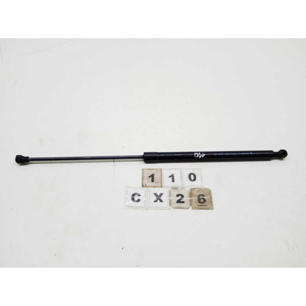 Amortecedor Tampa Traseira Renault Sandero 2015 A 2019 110